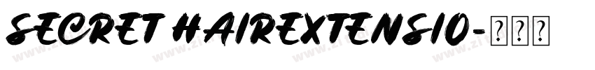 SECRET HAIREXTENSIO字体转换
